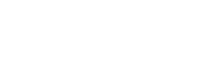 Citadel Alumni Association Logo